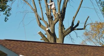 The Basics of Proactive Roof Maintenance